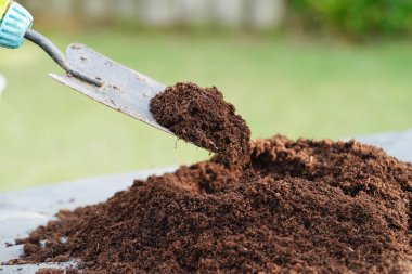 Turba yosunu, organik tarım için gübre toprağı, bitki yetiştirme, ekoloji kavramı.