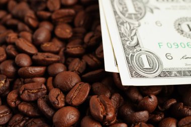 Kahve çekirdekleri üzerindeki Amerikan doları banknotları, ihracat veya ithalat için İnternet üzerinden alışveriş.