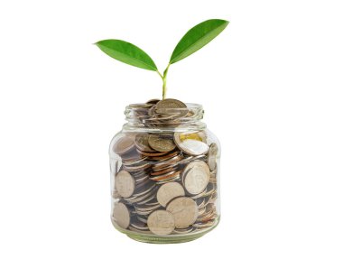 Yeşil yaprak fabrikası tasarruf paraları, işletme finansmanı tasarruf bankacılık yatırım kavramı.