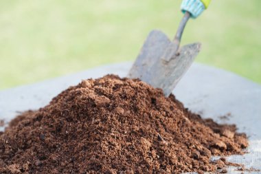Turba yosunu, organik tarım için gübre toprağı, bitki yetiştirme, ekoloji kavramı.