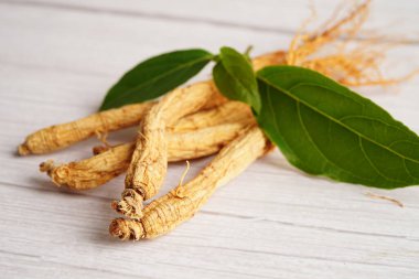 Ginseng kökleri ve yeşil yaprak, sağlıklı yiyecekler..