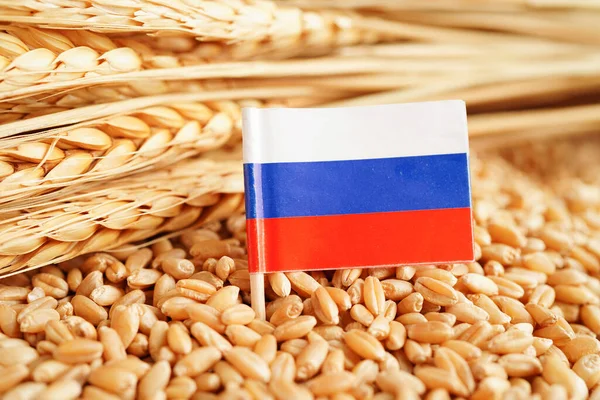 俄罗斯在小麦 出口和经济概念上的旗号 — 图库照片