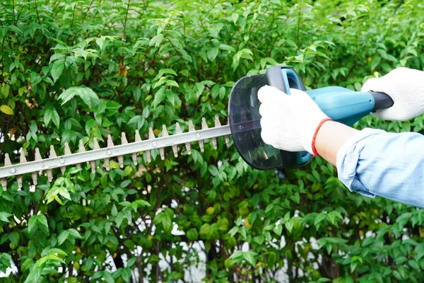 Jardineiro Que Corta Arbusto Por Cortadores Sebes Elétricos Jardim Hobby — Fotografia de Stock