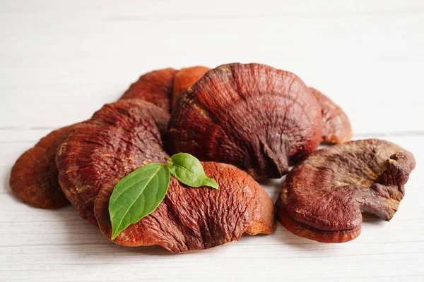 stock image Lingzhi or Reishi mushroom with capsules, organic natural healthy food.