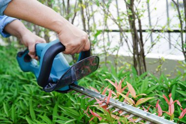 Bahçıvan bahçedeki elektrikli çit makası ile çalıları buduyor. Evde hobi.