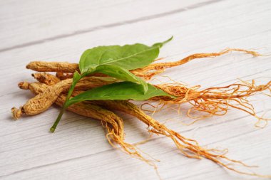 Ginseng kökleri ve yeşil yaprak, sağlıklı yiyecekler..