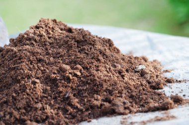 Turba yosunu, organik tarım için gübre toprağı, bitki yetiştirme, ekoloji kavramı.