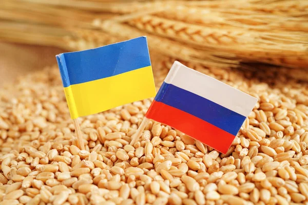 乌克兰和俄罗斯在谷物小麦 出口和经济概念上的旗号 — 图库照片
