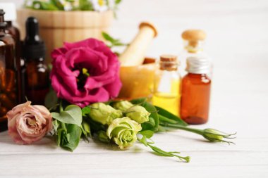 Alternatif ilaç bitkisel organik kapsül E omega 3 vitamini balık yağı, mineral, bitki yapraklı ilaç sağlıklı yaşam için doğal destek.