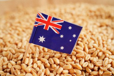 Avustralya buğday, ticaret ihracatı ve ekonomi konseptine bayrak dikti.