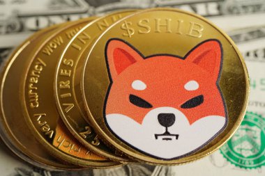 Çevrimiçi iş ve ticari, dijital para birimi, sanal kripto para birimi için Wow ile Dogecoin.
