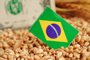 Brezilya buğday, ticaret ihracatı ve ekonomi kavramına bayrak dikti.