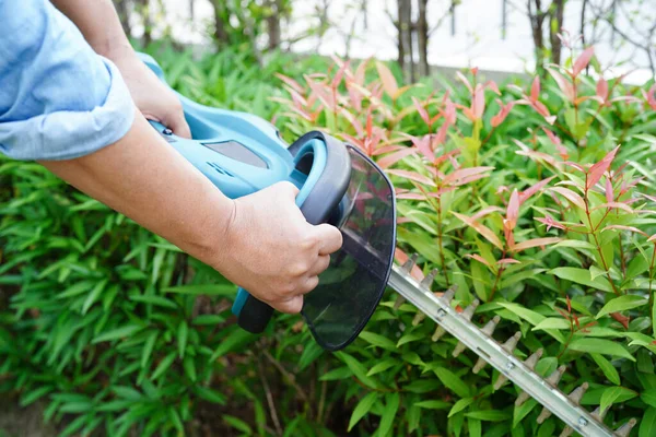Tukang Kebun Memangkas Semak Dengan Pemotongan Pagar Listrik Kebun Hobi — Stok Foto