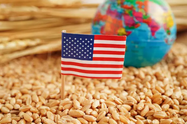 USA America flag on grain wheat, trade export and economy concept.
