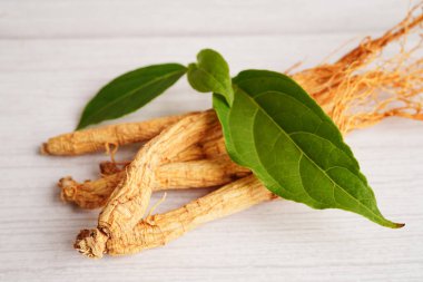 Ginseng kökleri ve yeşil yaprak, organik doğa sağlıklı yiyecekler..