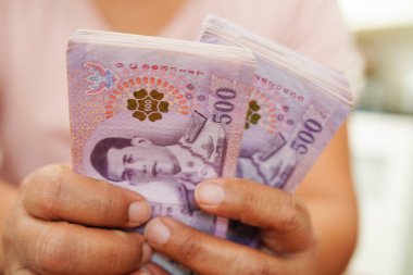Tayland baht banknotlarını sayan Asyalı bir kadın, elinde para, yatırım ekonomisi, muhasebe ve bankacılık.