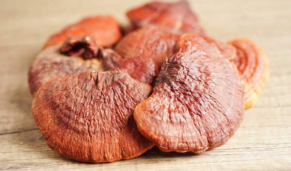 Lingzhi or Reishi mushroom with capsules, organic natural healthy food.