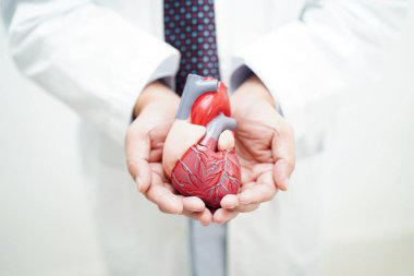 Kardiyovasküler hastalık CVD, hastanede tedavi gören hasta için kalp insan modeli anatomisi olan doktor.