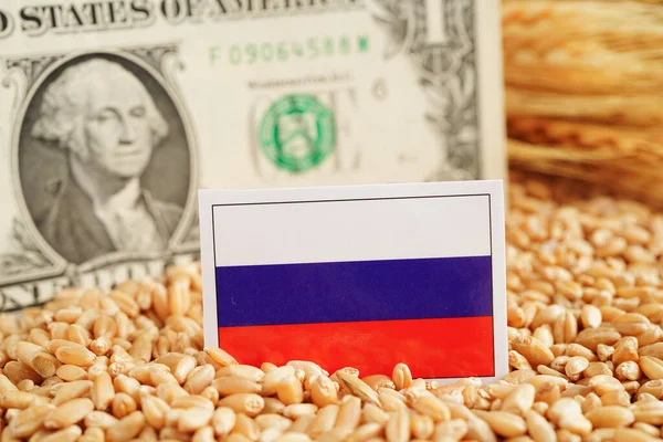 Bandera Rusia Sobre Trigo Grano Exportación Comercial Concepto Economía —  Fotos de Stock