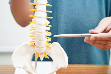 Lisedeki anatomi biyolojisinde insan kemiği ve omurilik ile Asyalı öğrencilerin öğrenmesi.