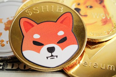 Çevrimiçi iş ve ticari, dijital para birimi, sanal kripto para birimi için Wow ile Dogecoin.