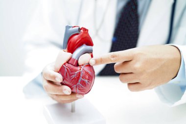 Kardiyovasküler hastalık CVD, hastanede tedavi gören hasta için kalp insan modeli anatomisi olan doktor.