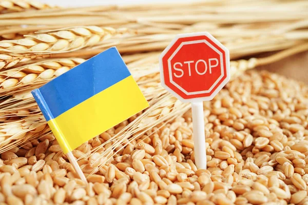 Ukraine flag on grain wheat, trade export and economy concept.
