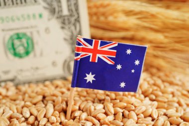 Avustralya buğday, ticaret ihracatı ve ekonomi konseptine bayrak dikti.