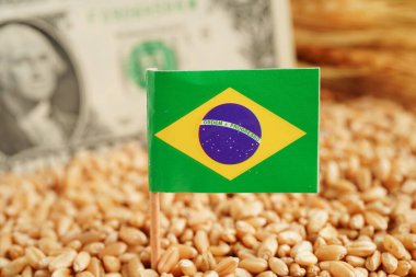 Bangkok, Tayland 12 Mart 2023 ABD doları banknotları, ticaret ihracatı ve ekonomi konsepti ile tahıl.