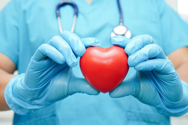 Asian woman doctor holding red heart for health in hospital.