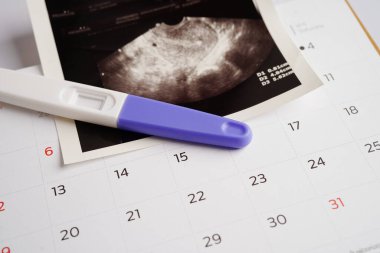 Hamilelik testi ultrason taraması ile fetüsün, hamileliğin, doğumun, doğum kontrolünün fotoğrafı..