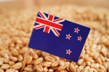 Tahıl buğdayı, ticaret ihracatı ve ekonomi konseptine Yeni Zelanda bayrağı.