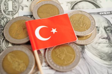 Bozuk para, finans ve muhasebe, bankacılık kavramında Türkiye bayrağı.