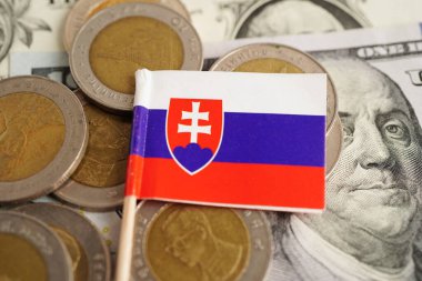 Bozuk para, finans ve muhasebe, bankacılık kavramına Slovakya bayrağı.