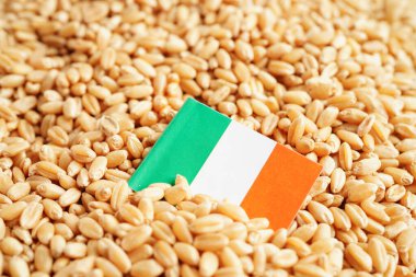 Buğday, ticaret ihracatı ve ekonomi konseptine İrlanda bayrağı.