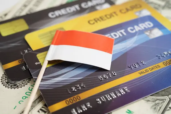 Indonesia Flag Credit Card Finance Economy Trading Shopping Online Business — Zdjęcie stockowe