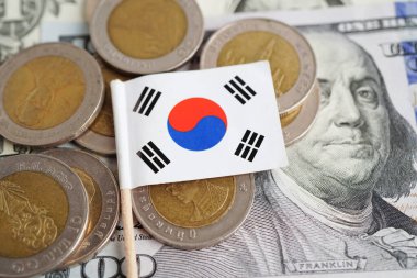 Para ve banknot üzerinde Kore bayrağı, finans ticareti yatırım ticari para birimi kavramı.