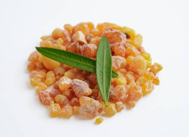 Tütsü ya da olibanum aromatik reçine tütsü ve parfümlerde kullanılan beyaz arka planda izole edilmiş..