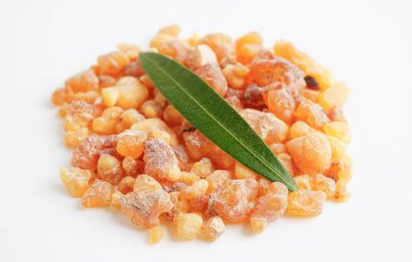 Tütsü veya olibanum aromatik reçine tütsü ve parfümlerde kullanılır..