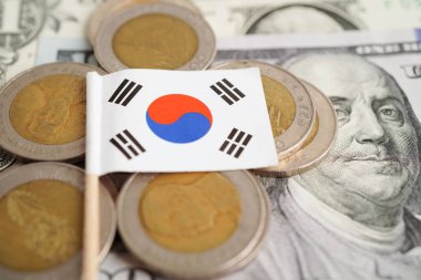Bozuk para üzerinde Güney Kore bayrağı, finans ve muhasebe, bankacılık kavramı.