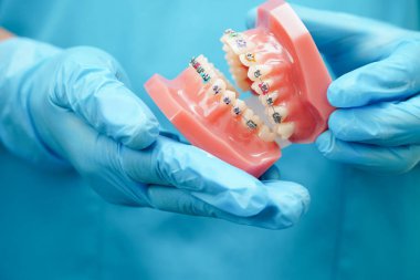 Diş hekimliği hakkında bilgi edinmek için Asyalı diş hekimi elinde tutuyor.