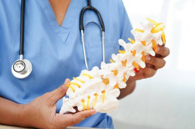 Omurga ve kemik modeli taşıyan Asyalı doktor, ortopedi bölümünde tedavi için bel kemiği yerinden oynamış disk parçası..