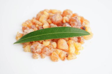 Tütsü veya olibanum aromatik reçine tütsü ve parfümlerde kullanılır..