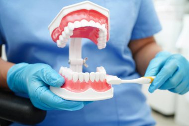 Diş fırçasıyla dişleri temizleyen doktor hasta ve dişçiye diş hekimliği dersi veriyor..