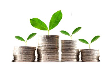 Yeşil yaprak fabrikası tasarruf paraları, işletme finansmanı tasarruf bankacılık yatırım kavramı.