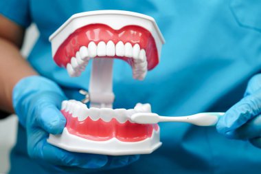 Diş fırçasıyla dişleri temizleyen doktor hasta ve dişçiye diş hekimliği dersi veriyor..