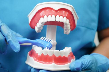 Diş fırçasıyla dişleri temizleyen doktor hasta ve dişçiye diş hekimliği dersi veriyor..