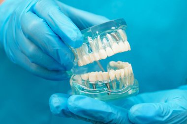 Diş hekimliği hakkında bilgi edinmek için Asyalı diş hekimi elinde tutuyor.