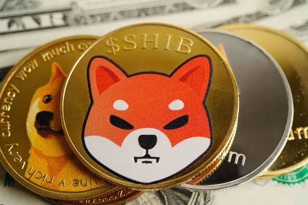 Çevrimiçi iş ve ticaret için Shiba Inu parası, Dijital para birimi, Sanal kripto para birimi.