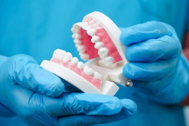 Diş hekimliği hakkında bilgi edinmek için Asyalı diş hekimi elinde tutuyor.